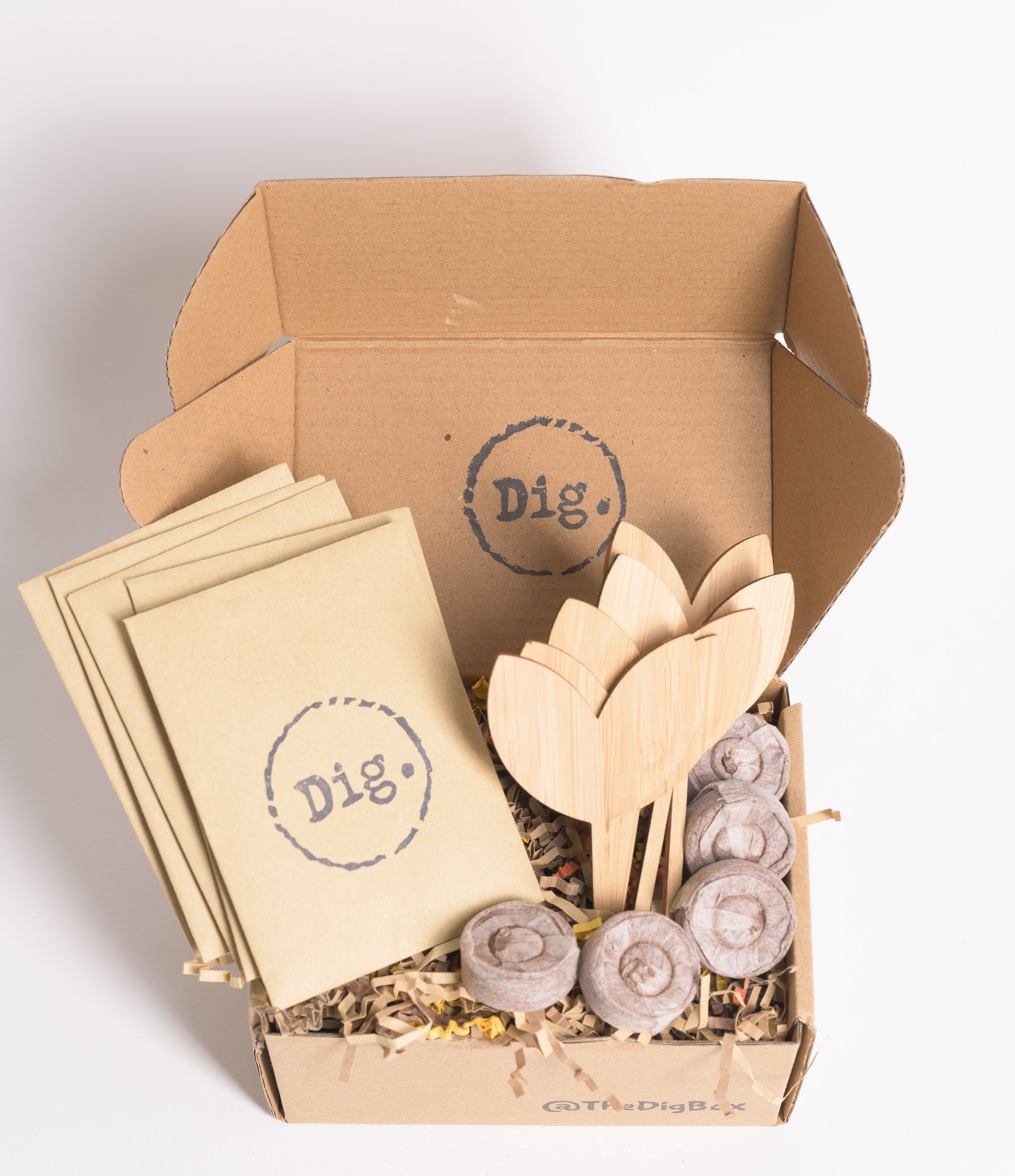 039923852765246-2021929thedigboxproductshoot-021-1.jpg