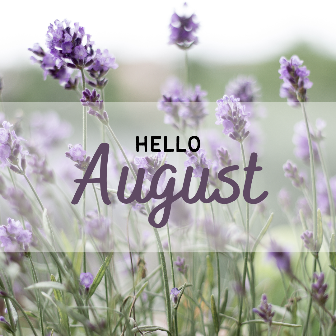 August Planting Guide: What to Grow in Zones 4-8