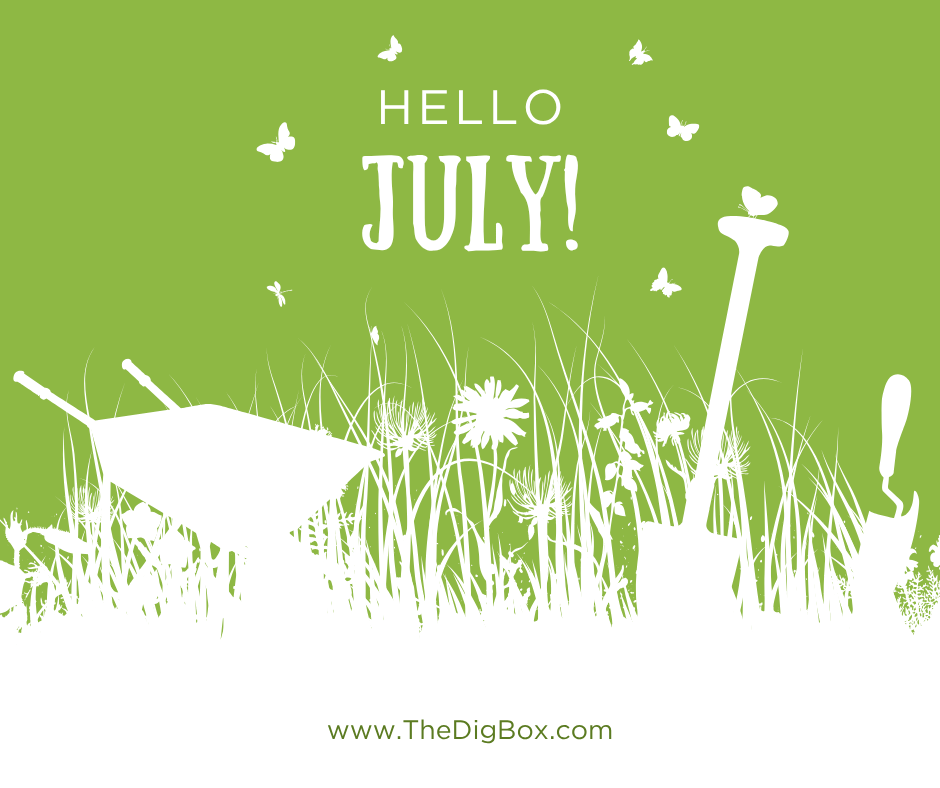 July Planting Guide: What to Grow in Zones 4-8 