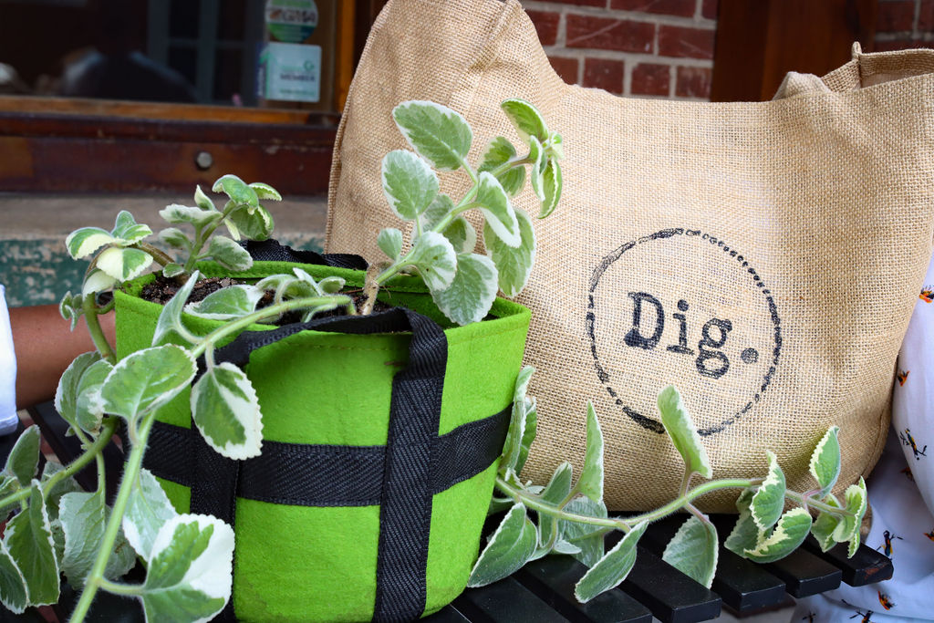 r604-plant-and-logo-17428598378654.jpg