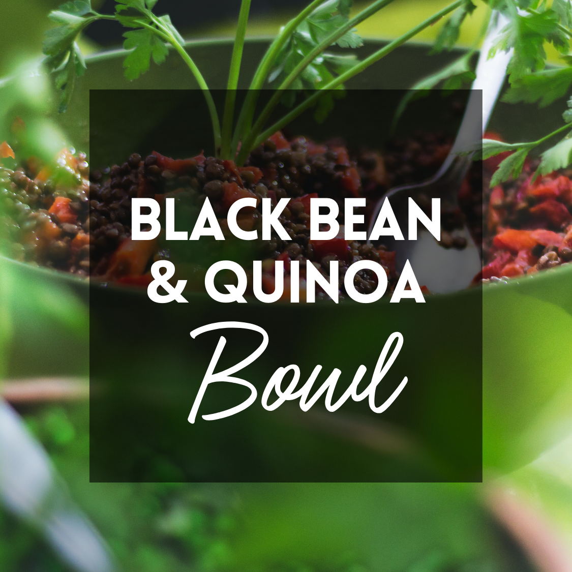 Black Bean Quinoa Salad