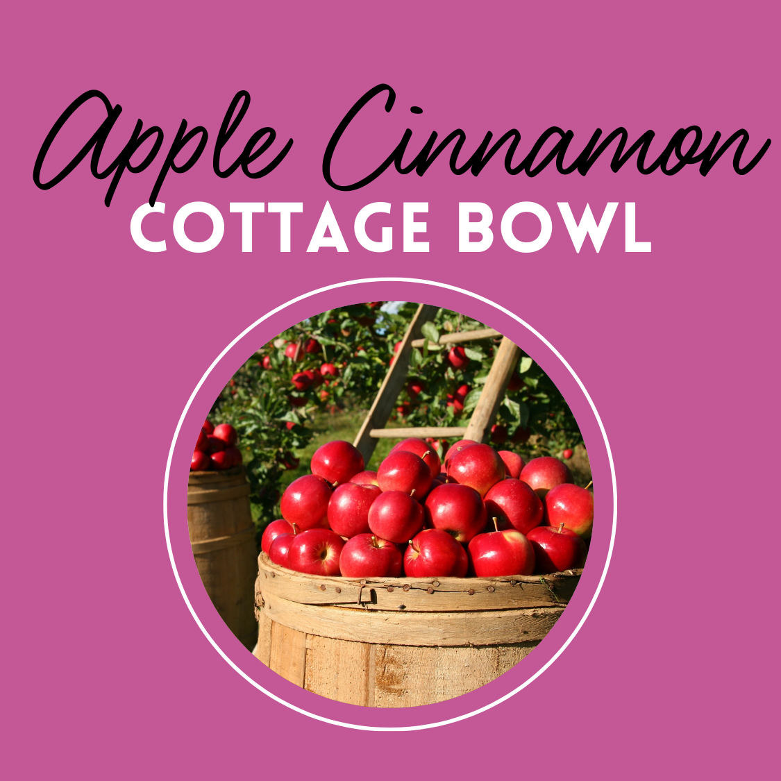 Apple Cinnamon Cottage Bowl