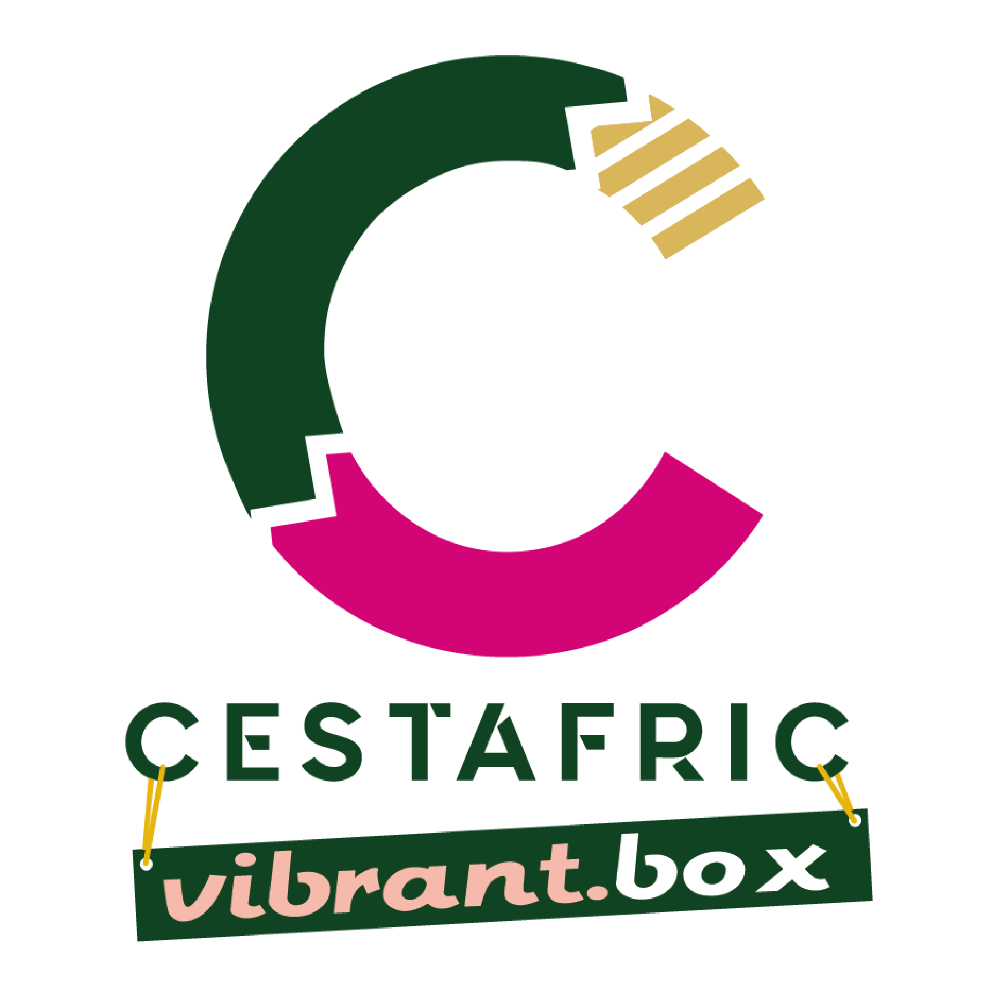 cestafric vibrant boxes