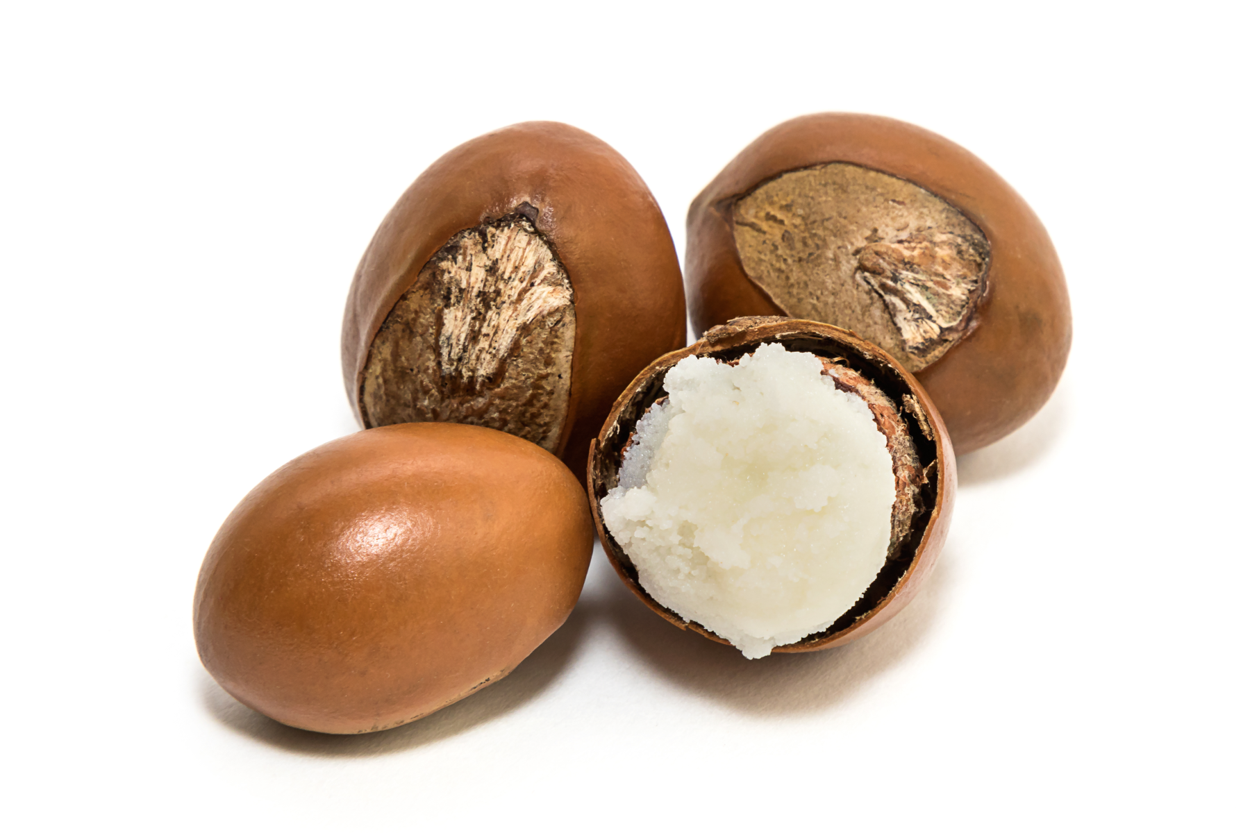 373-shea-butter-17527783297036.png