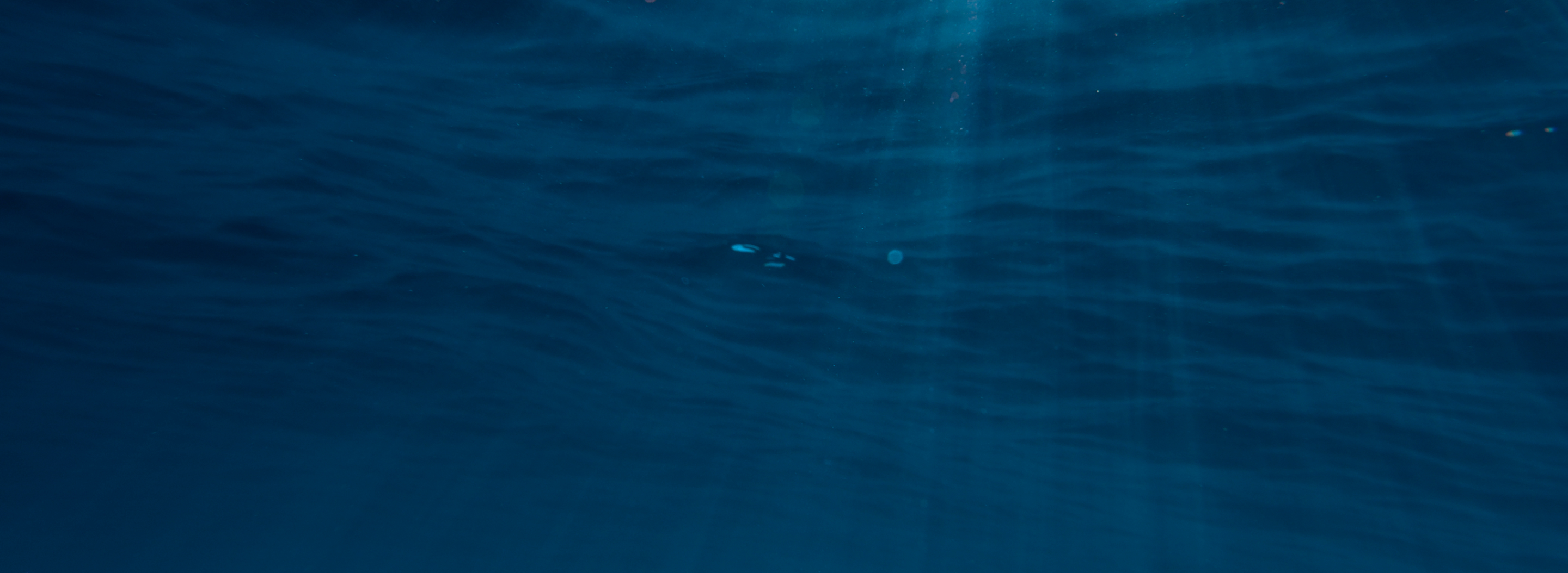 r189-frame-8-16870400775098.jpg
