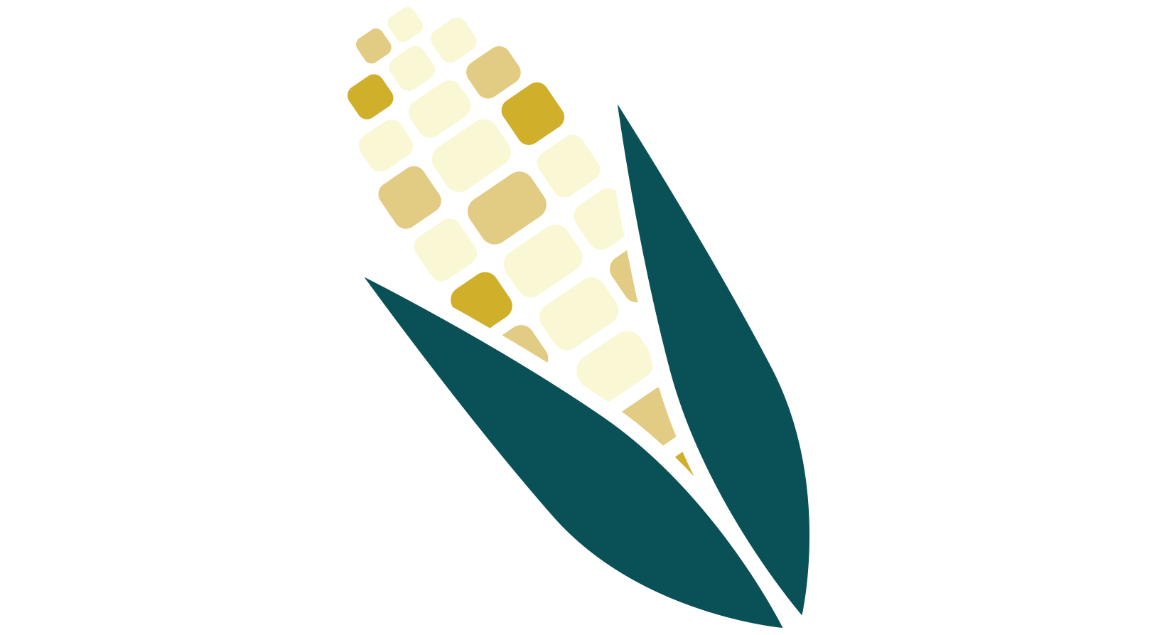 Corn