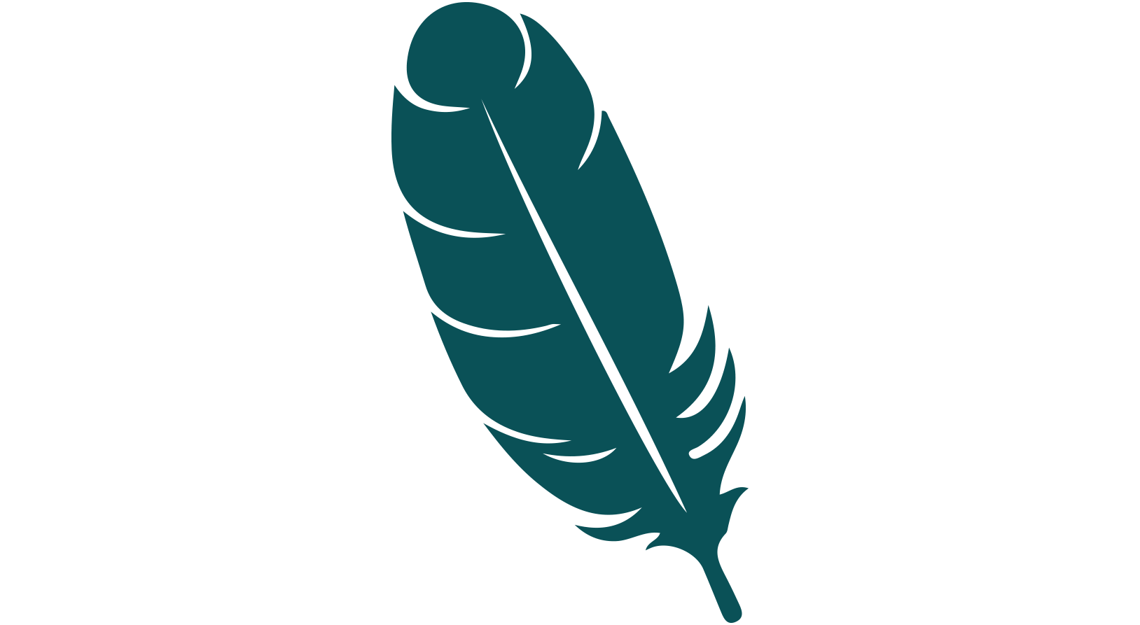 Feathers