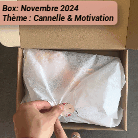4583-box-nov-17321184595752.gif