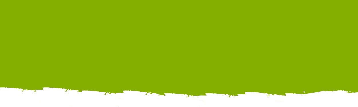 r37-banner2-17440299215231.jpg