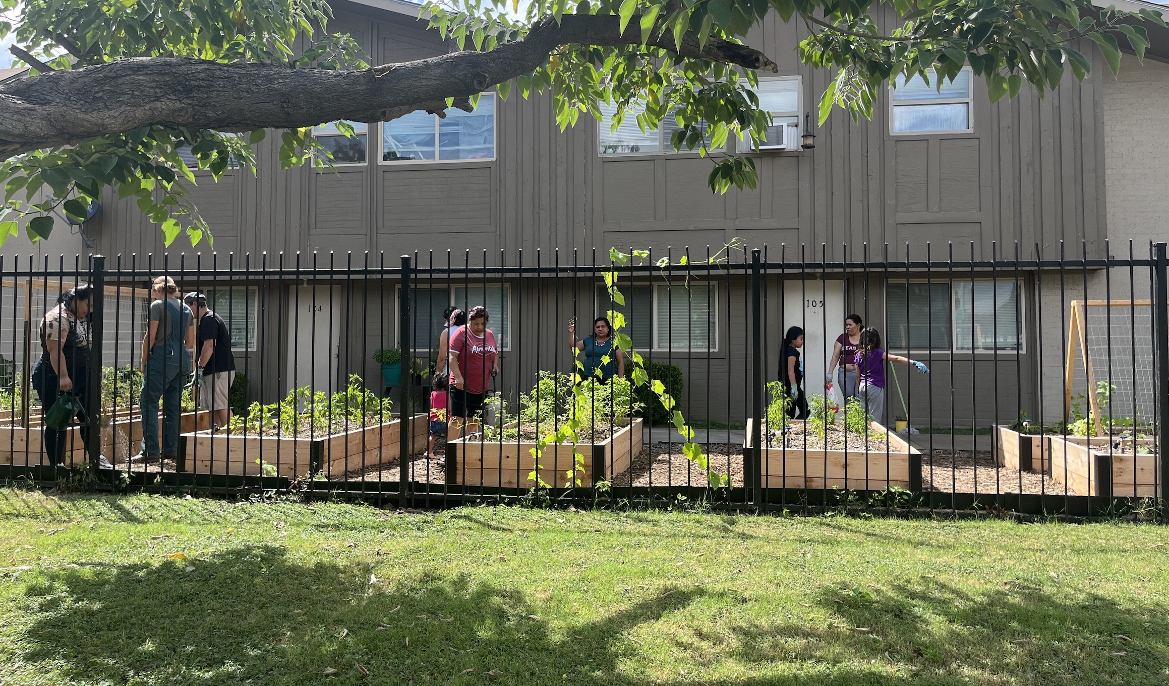 r382-community-garden-in-action-17539020609461.jpg