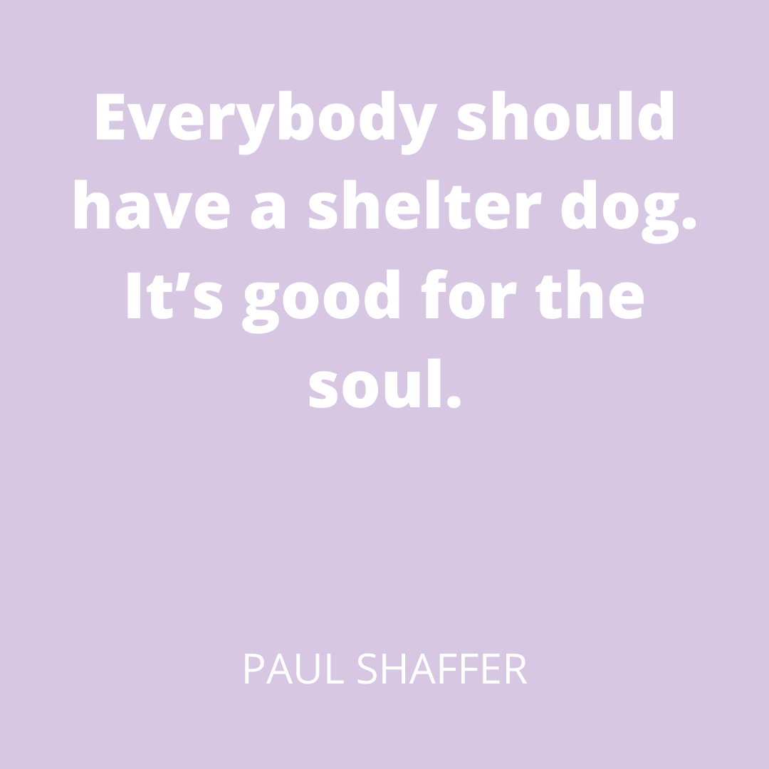 Paul Shaffer