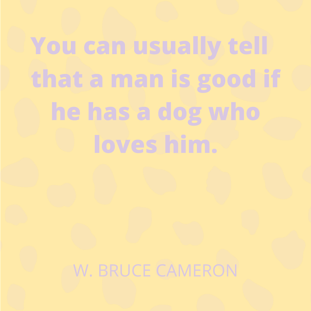 W. Bruce Cameron
