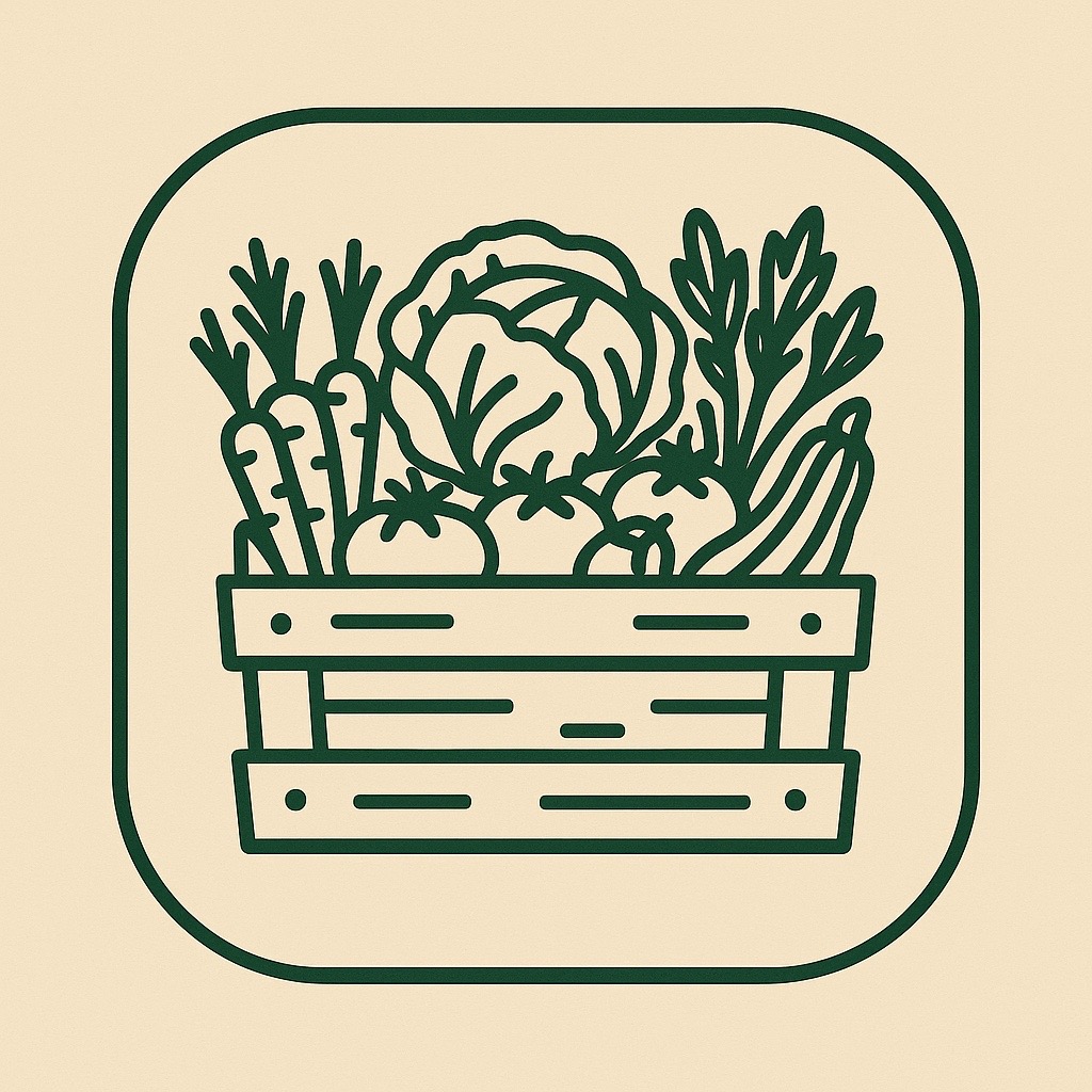 43-box-graphic-1760387645686.jpeg