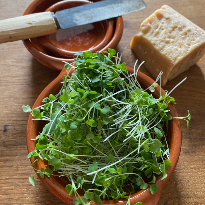Arugula Microgreen Recipes