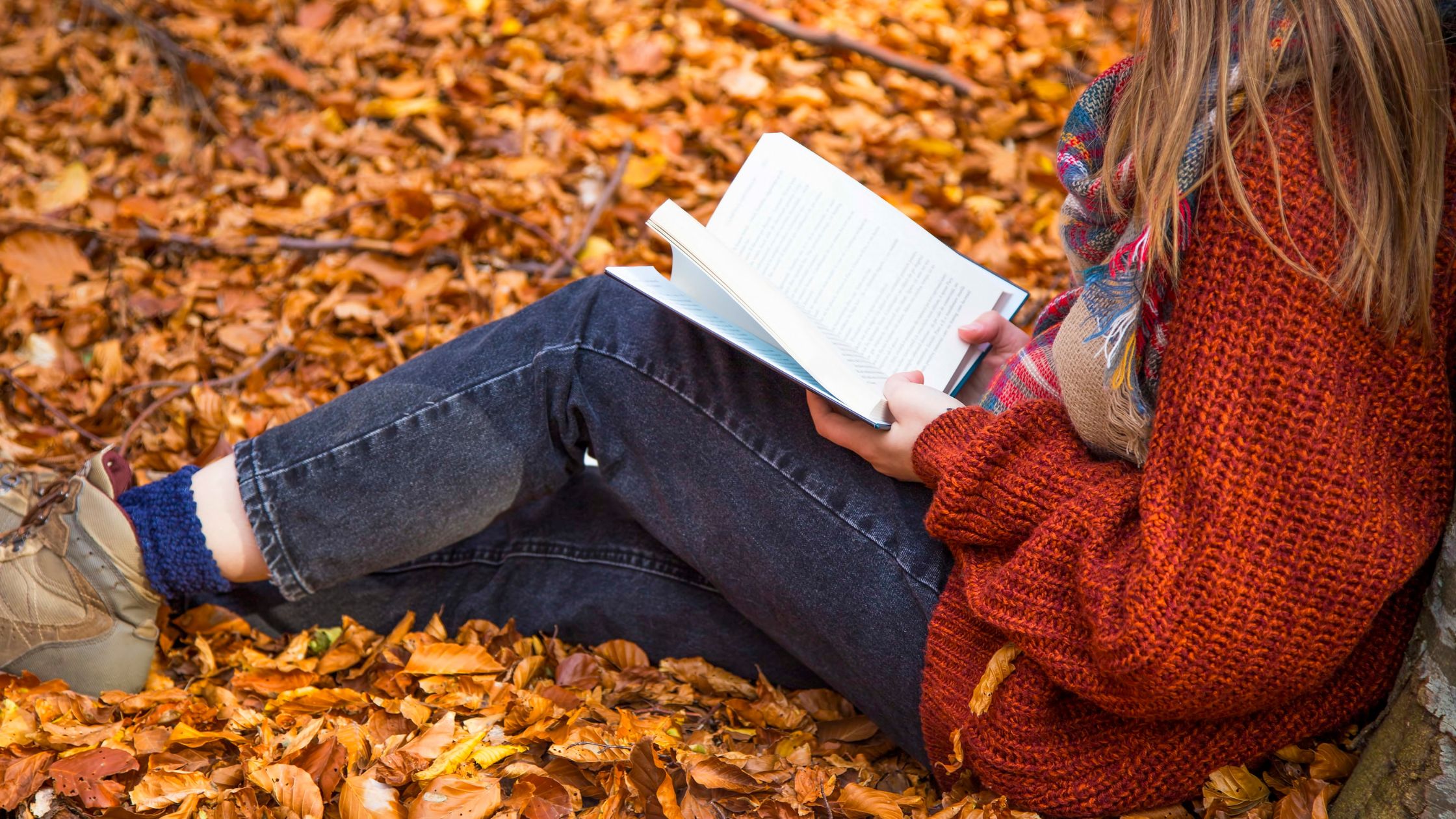 Perfect Fall Reads: Book Recommendations for a Cozy Fall Day