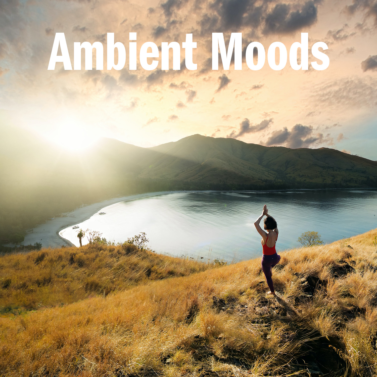 Ambient Moods PRS PPL exempt playlist