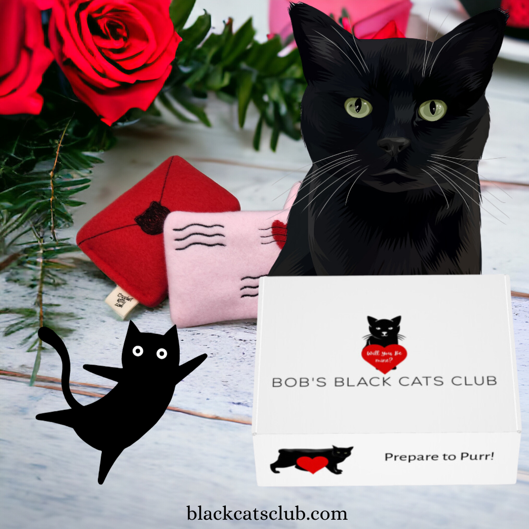 517-valentine-black-cats-club-with-box-image-1-17050792314565.png