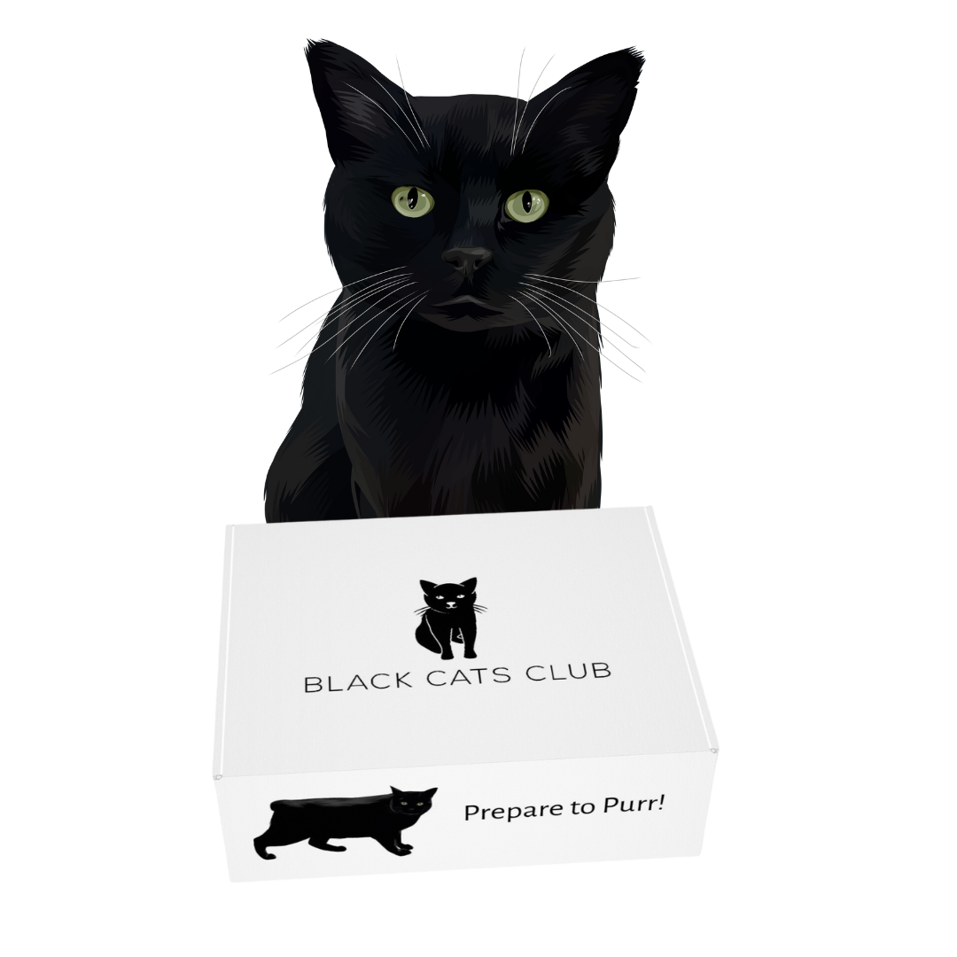 691-bob-with-black-cats-club-box-mockup-16932300100026.png