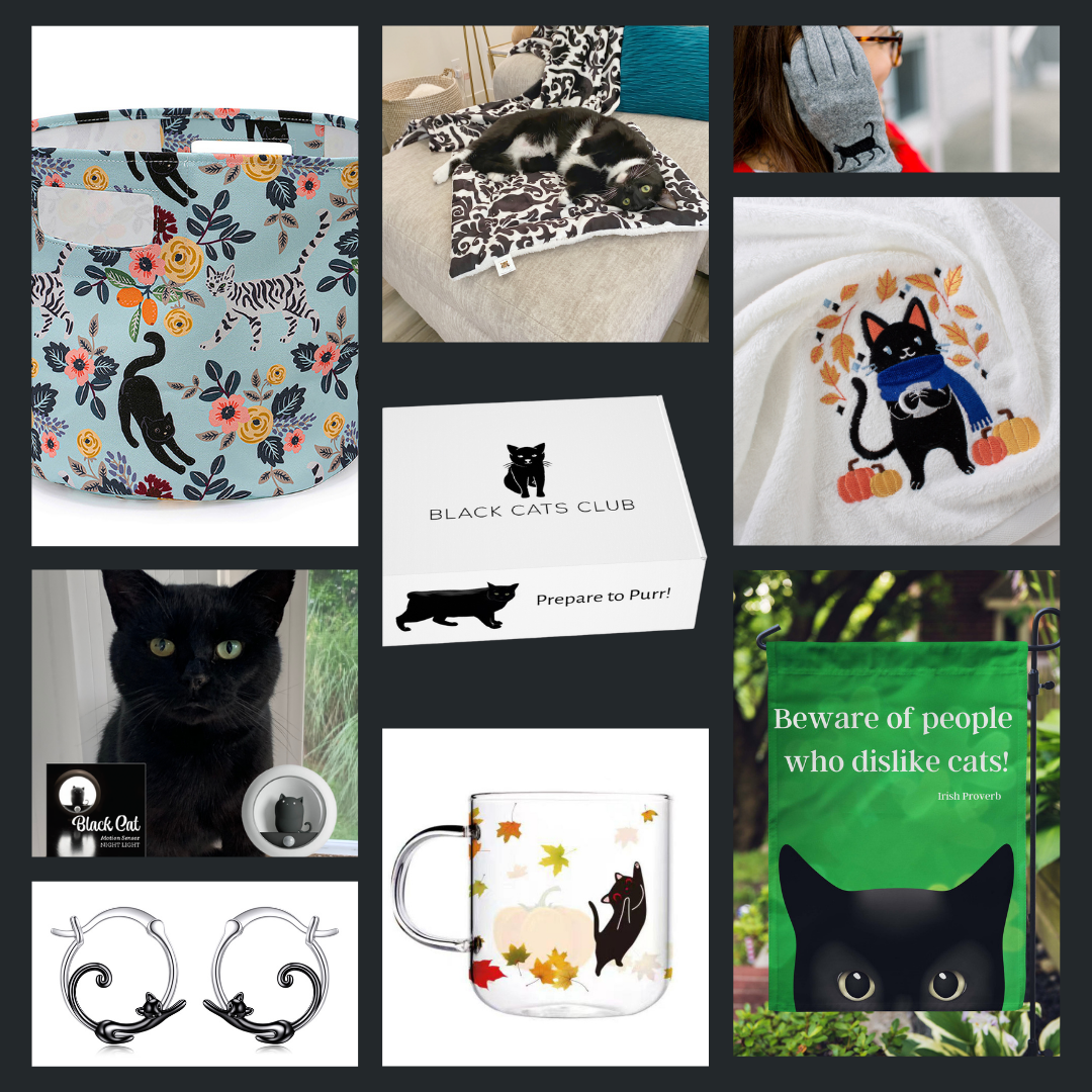 701-black-cats-club-collage-2-16932314464338-1784923927615.png
