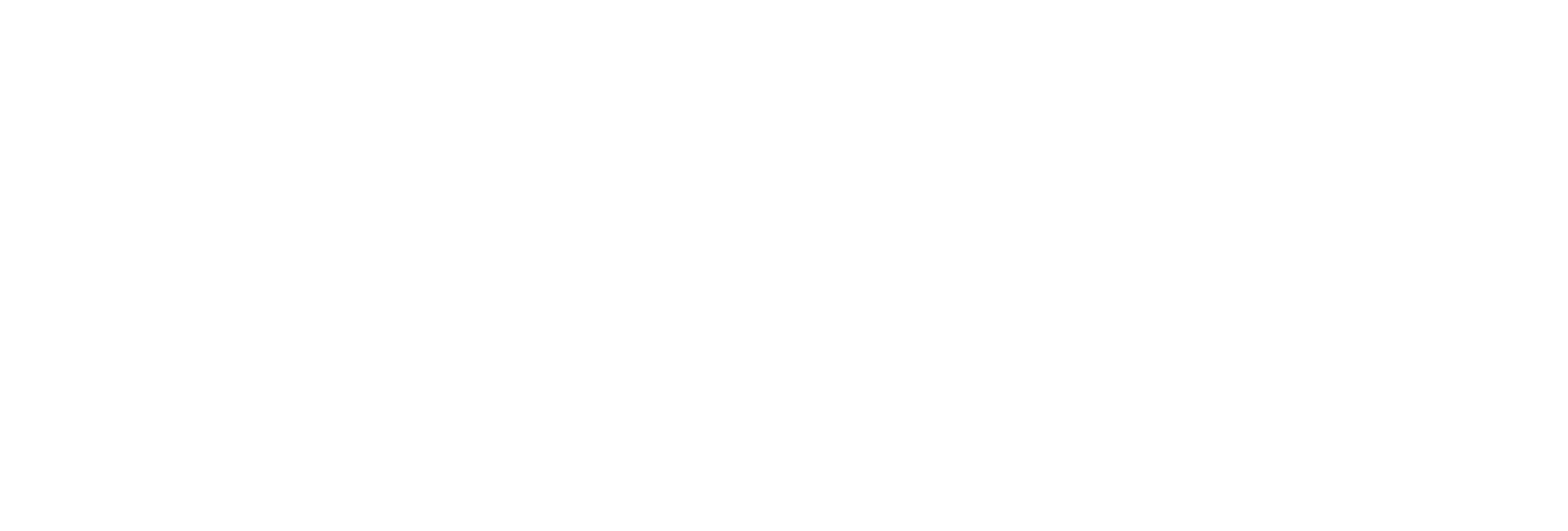 21031061053655-blanc-sur-transparent-17488733749156.png