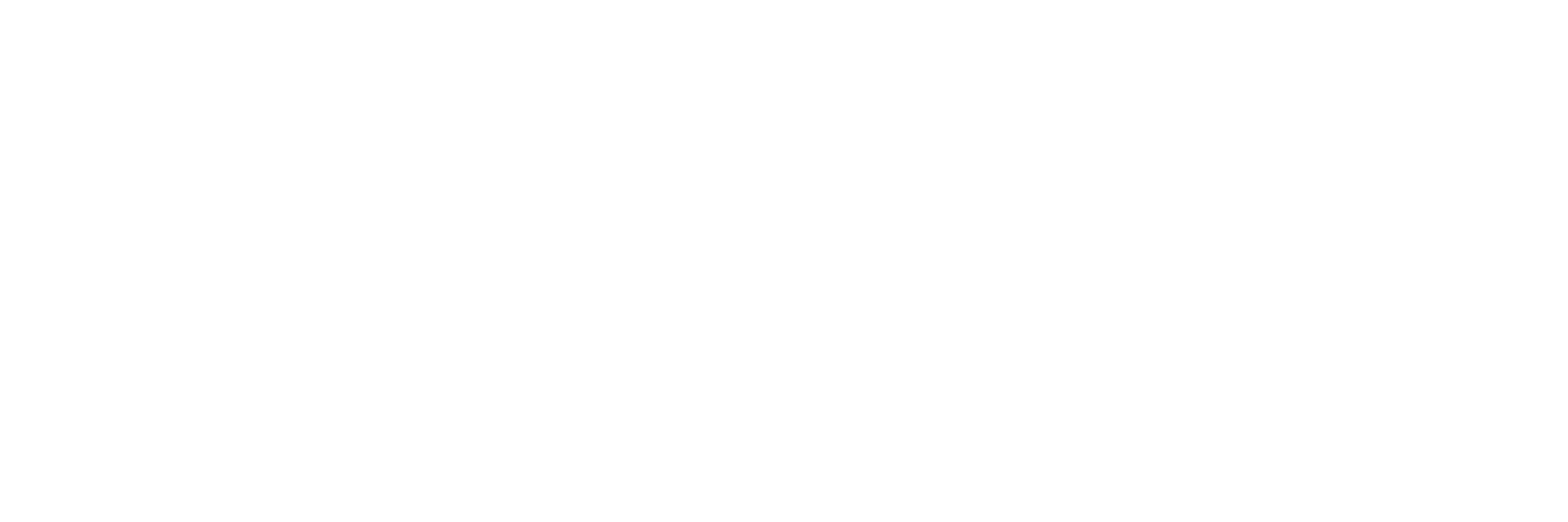 695-blanc-sur-transparent-17488733749156.png