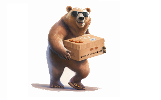 208-delivery-bear-left-16755753845605.png
