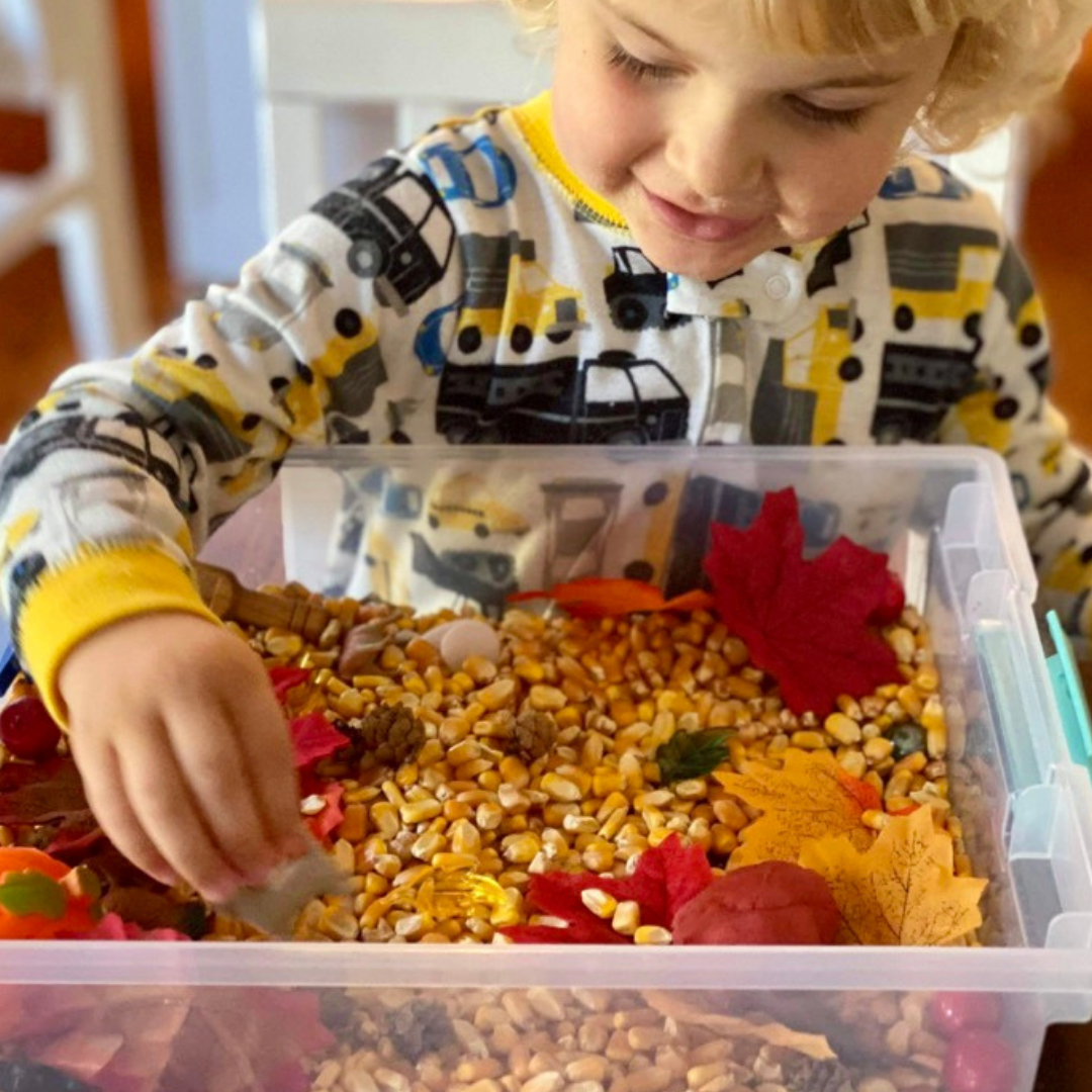15 Ways to Play with Your Fall Sensory Kit