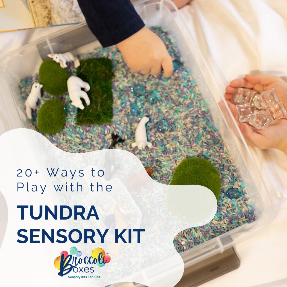 20+ Ways to Play with the Tundra Sensory Kit