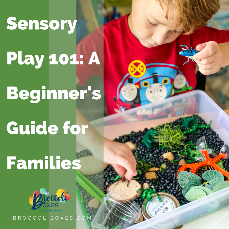 Sensory Play 101: A Beginner's Guide for Families