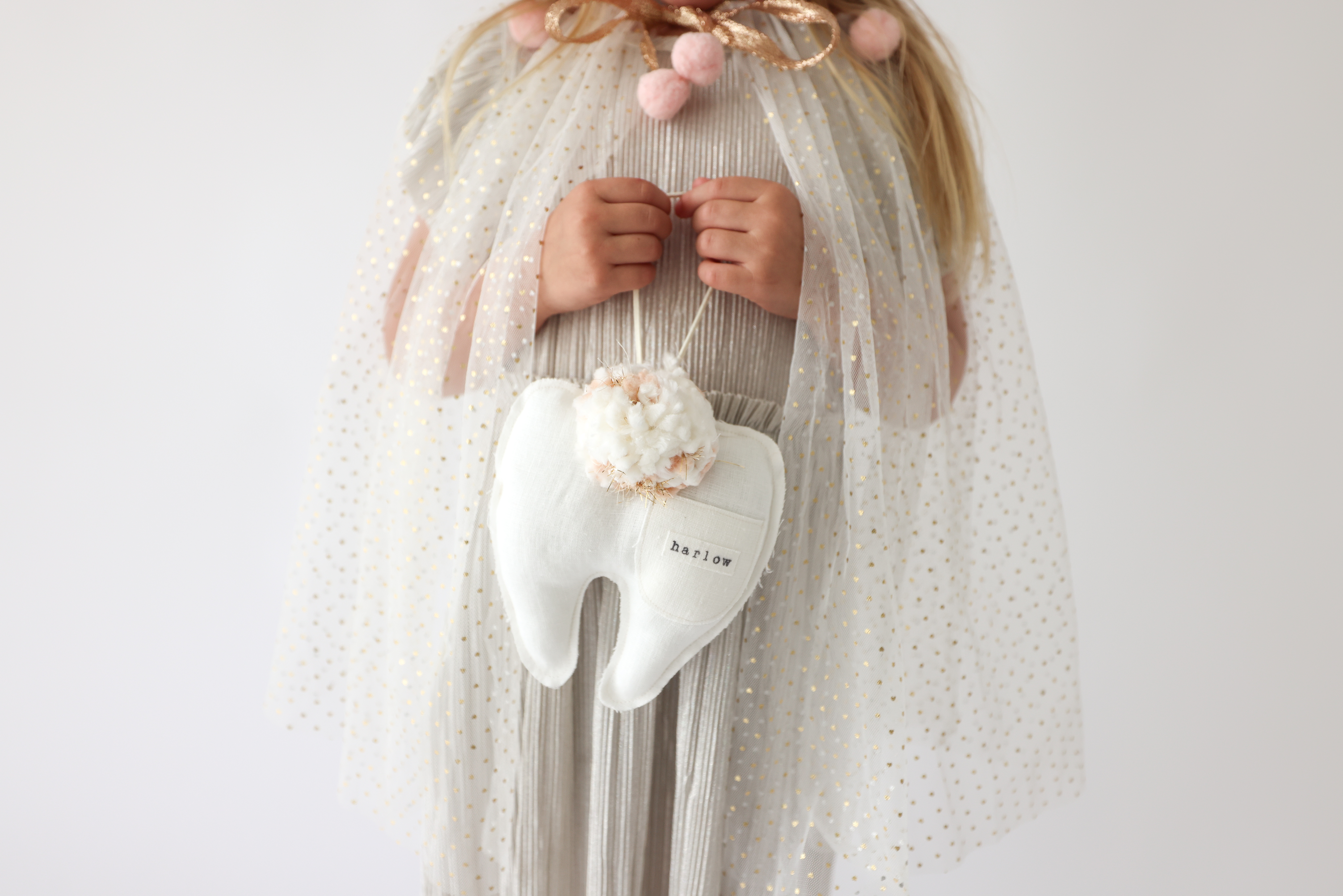Madly Wish_Tooth Fairy Pillow