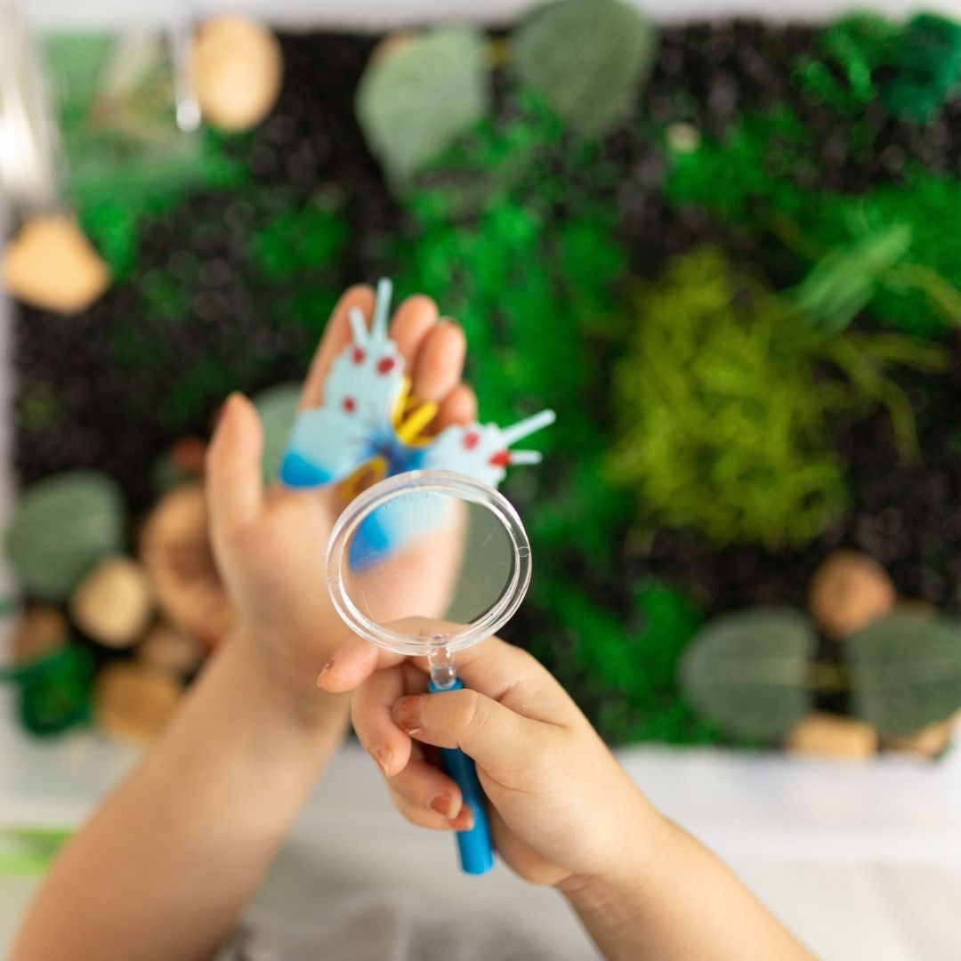 Broccoli Boxes Bug Sensory Kit