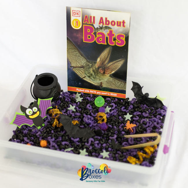 Bat Sensory Kit