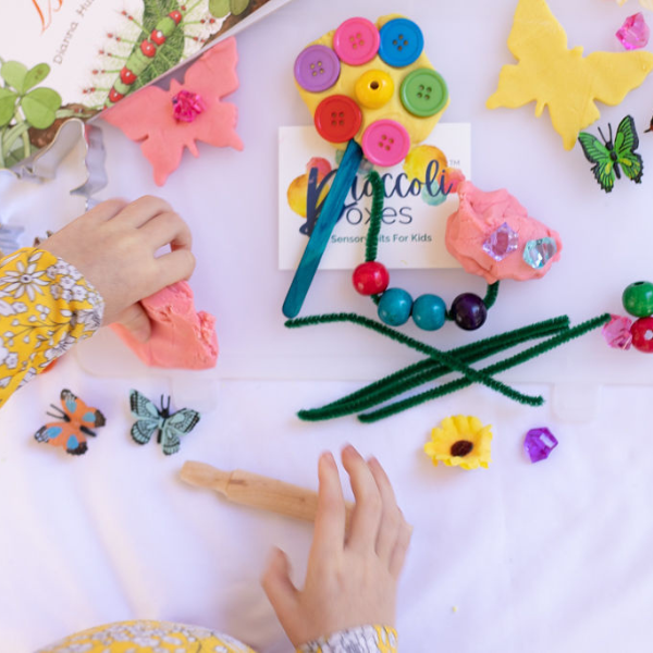 Butterfly playdough kit 