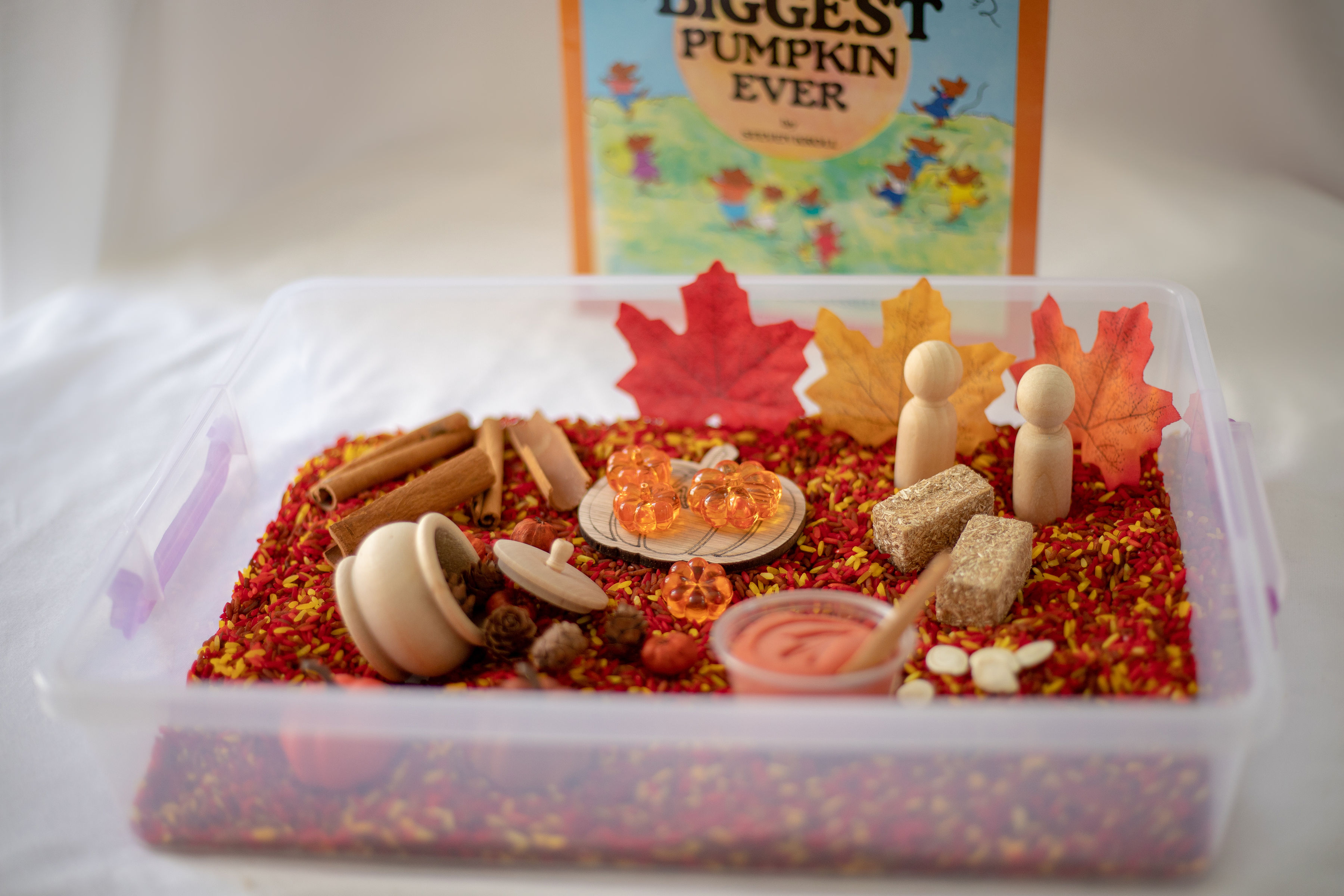 Fall Sensory Kit