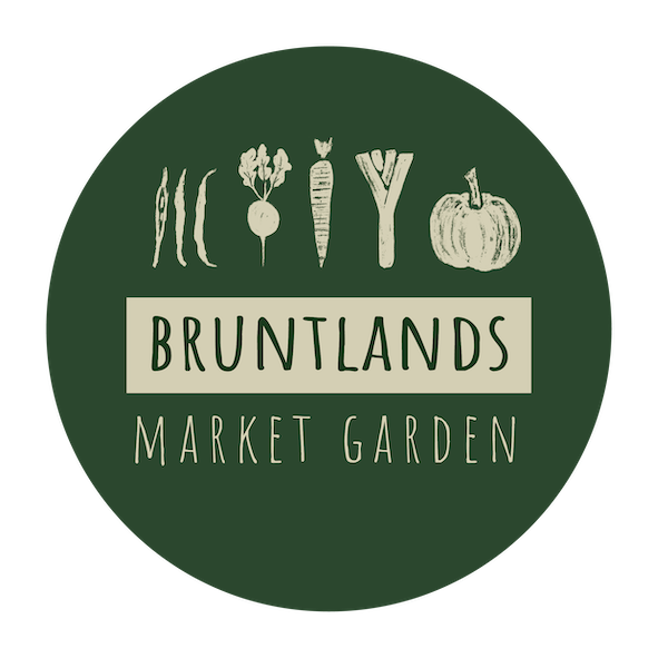 Bruntlands-market-garden