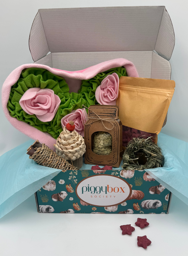 0237931076454-subscription-box-for-guinea-pigs-11-17674837541983.png