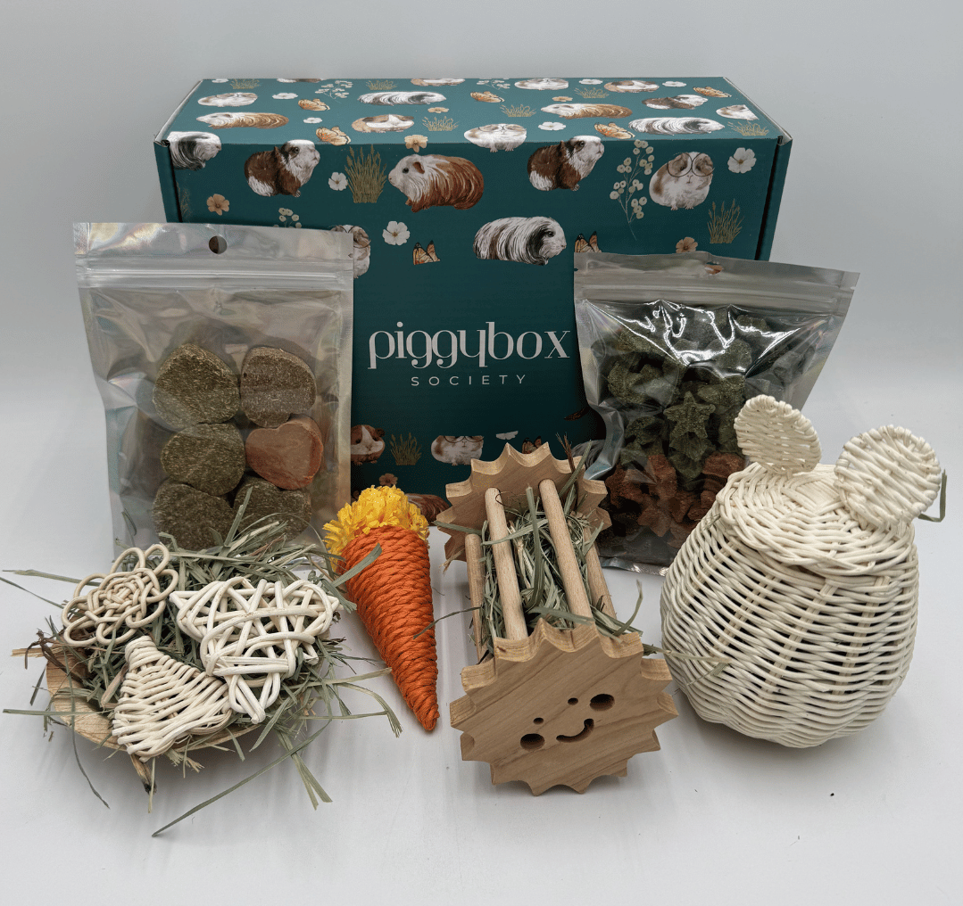 03210791016454-guinea-pig-subscription-box-11-17814513981074.png