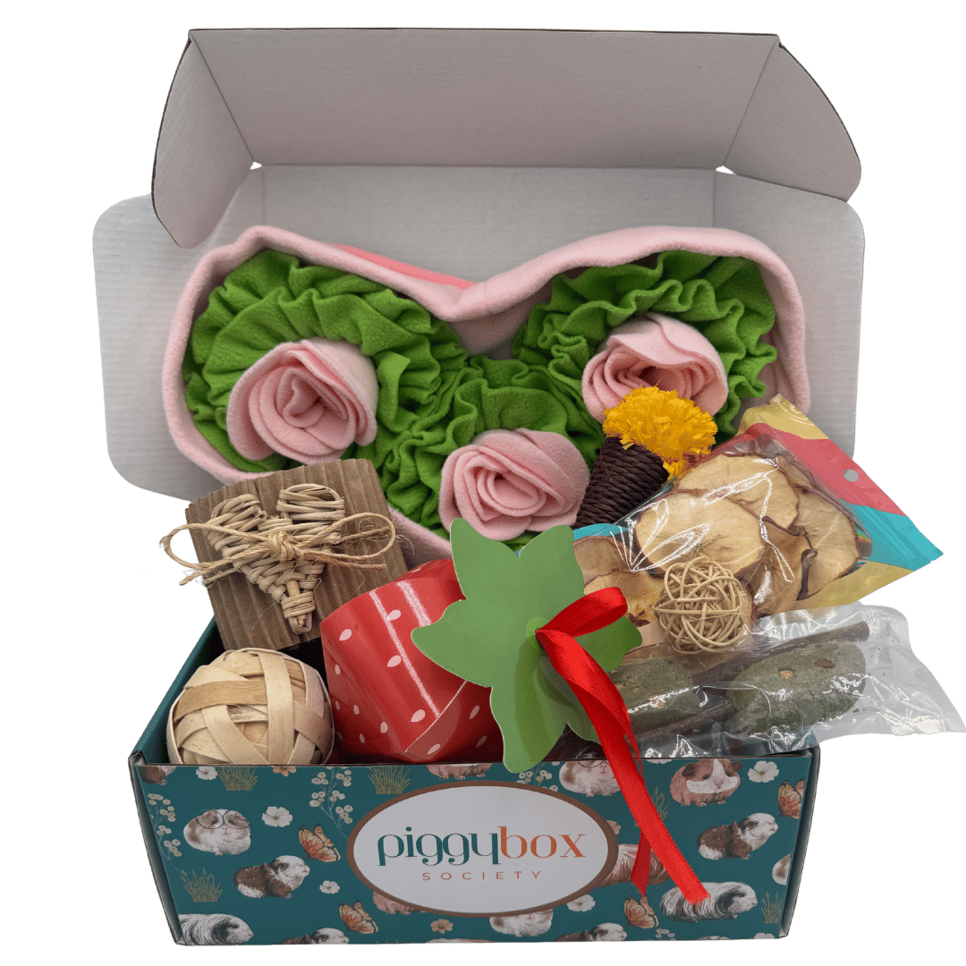 359-guinea-pig-subscription-box-17526907539884.png