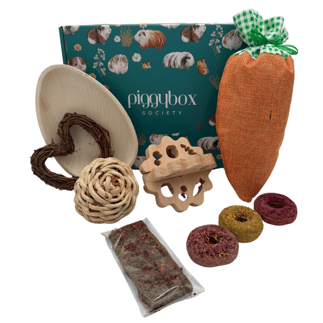359-guinea-pig-subscription-box-4-17469178755496.png