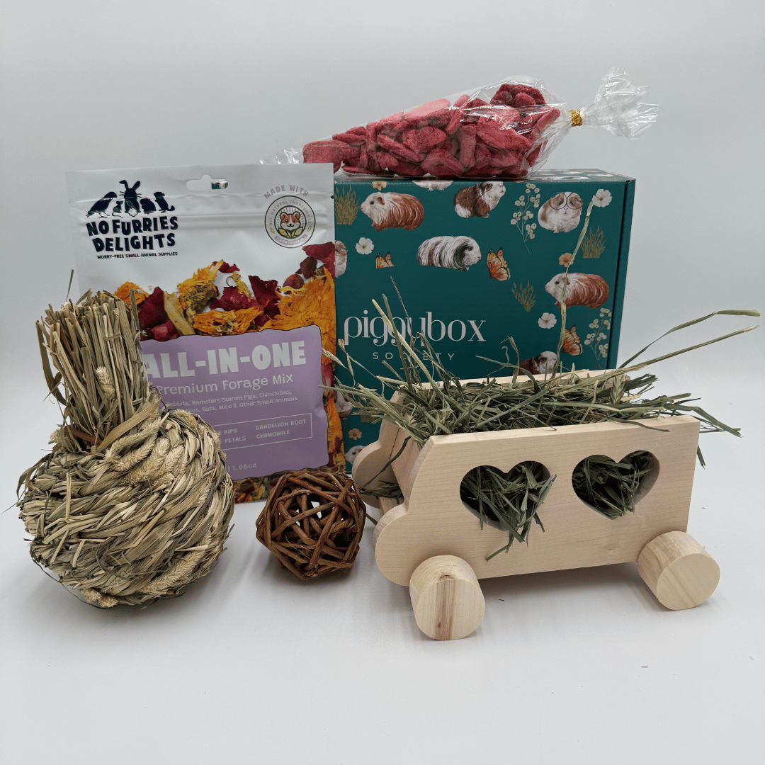 454-guinea-pig-subscription-box-12-17855654332971.png