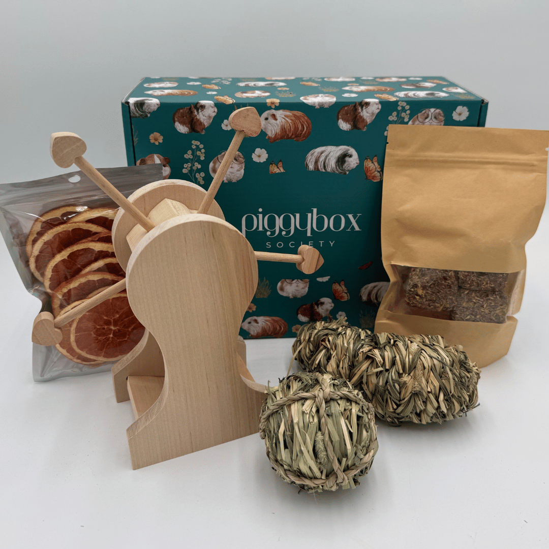 454-guinea-pig-subscription-box-13-17894867676625.png