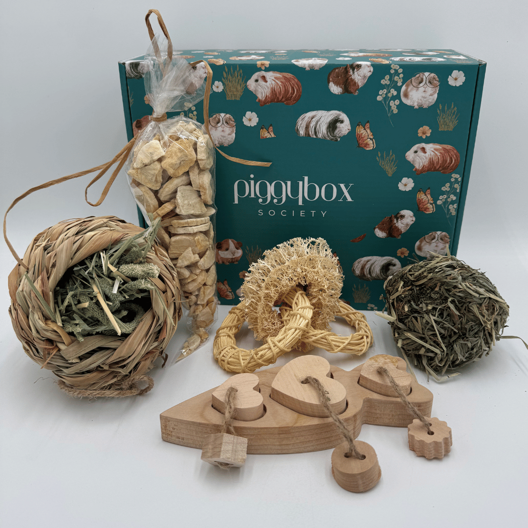 454-guinea-pig-toys-guinea-pig-treats-guinea-pig-subscription-box-17703276791372.png