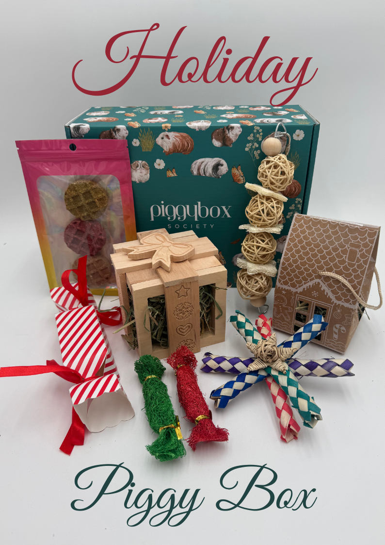 454-holiday-subscription-box-for-guinea-pigs-17611110059104.png