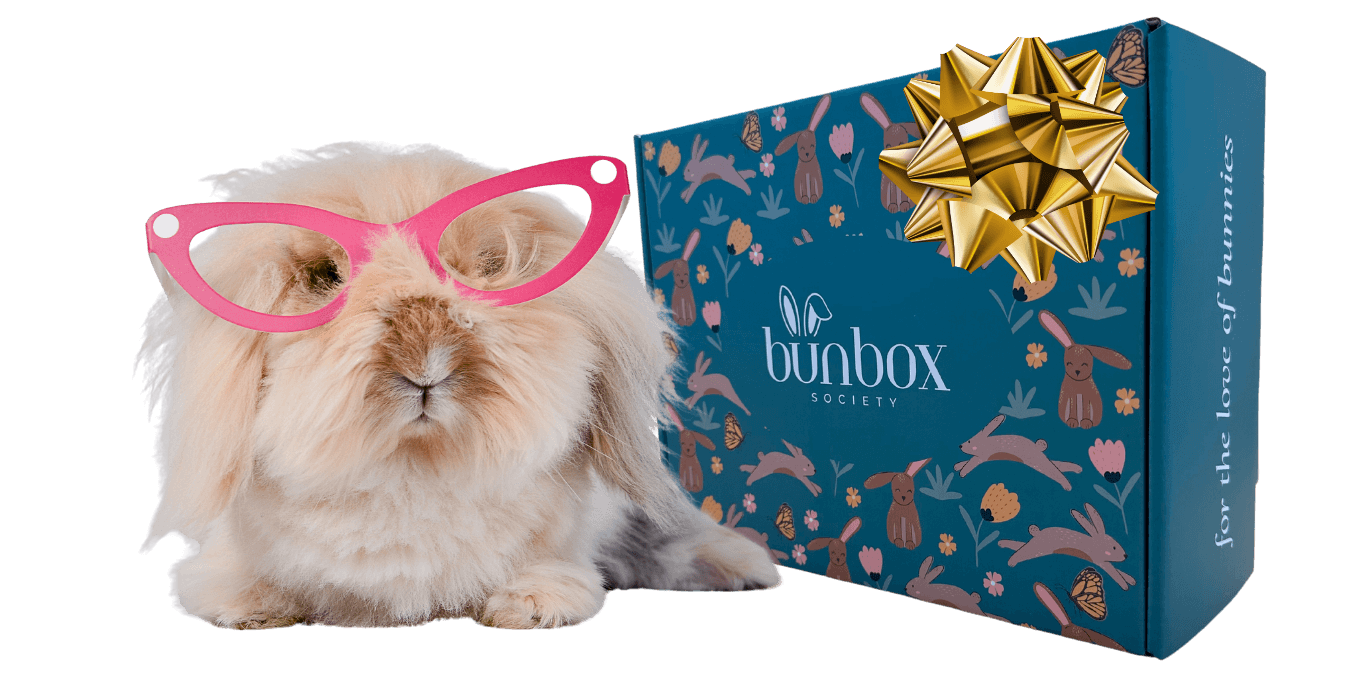 Rabbit Subscription Box USA