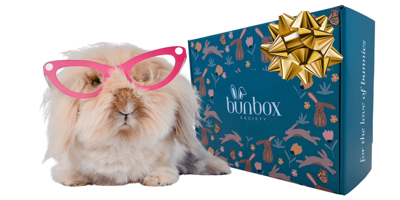 Rabbit Subscription Box USA Rabbit Subscription Box USA