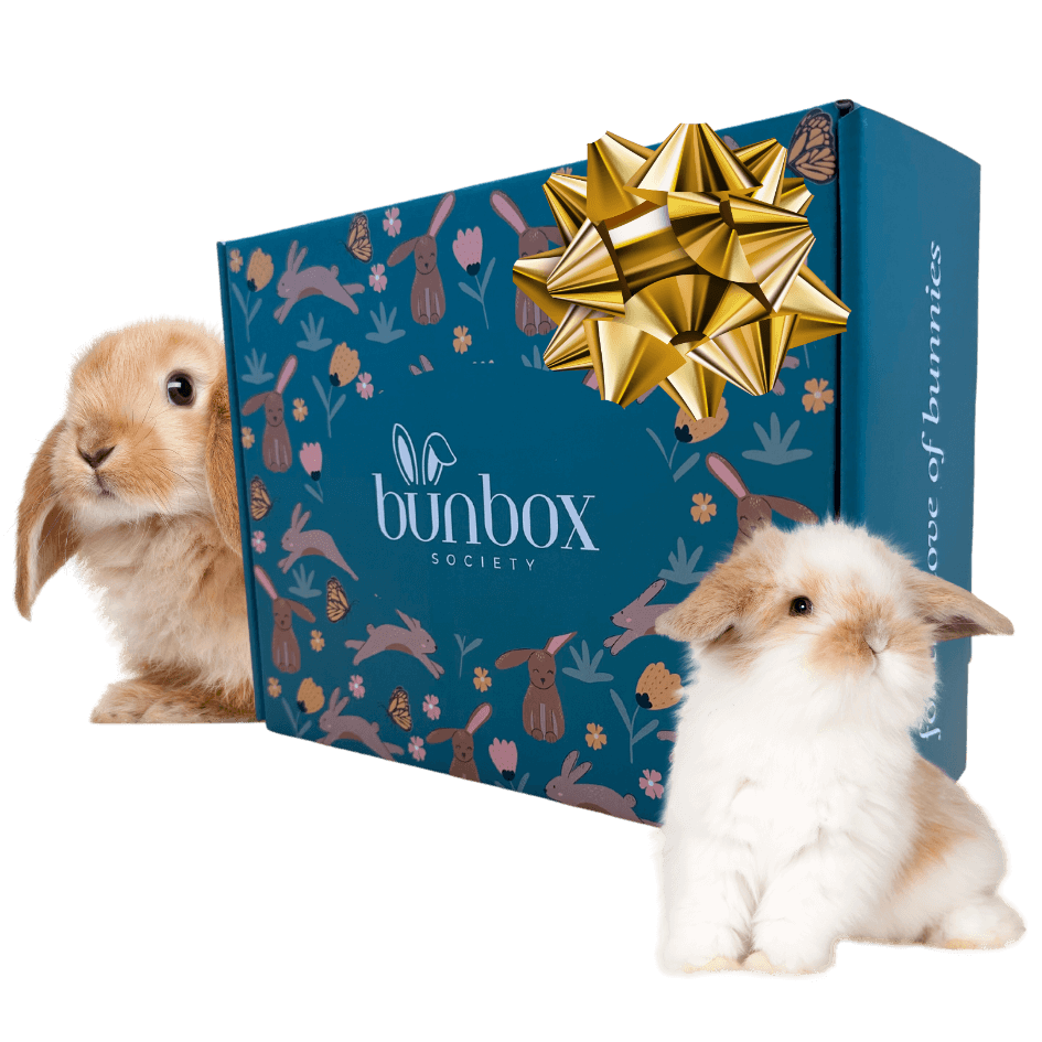 Bunny Subscription Box