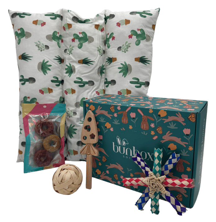 0150695715924-bunny-subscription-box-15-17501219197852.png