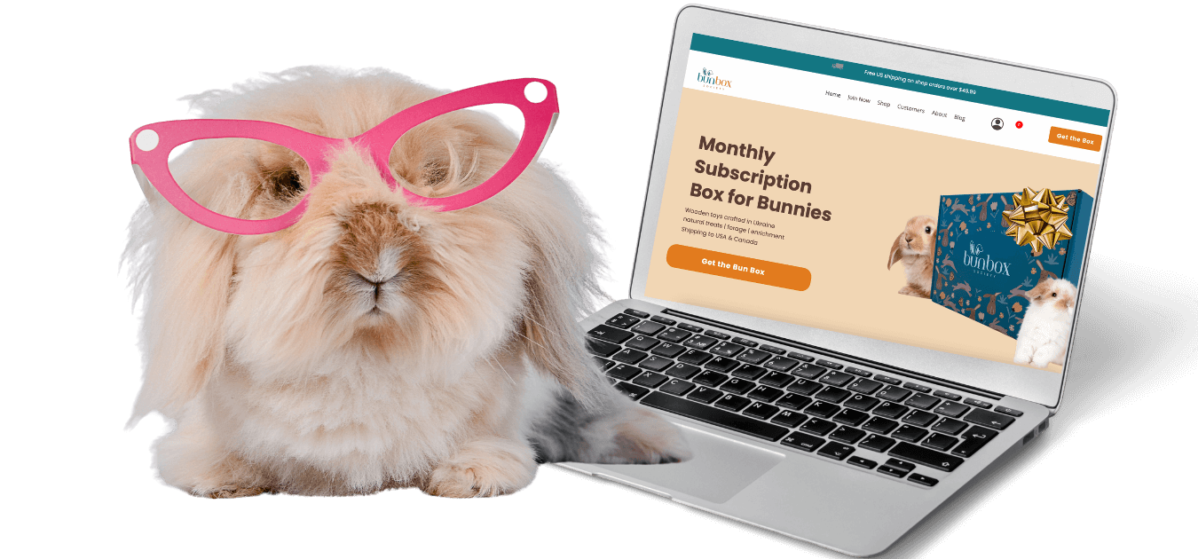 Rabbit Subscription Box Rabbit Subscription Box