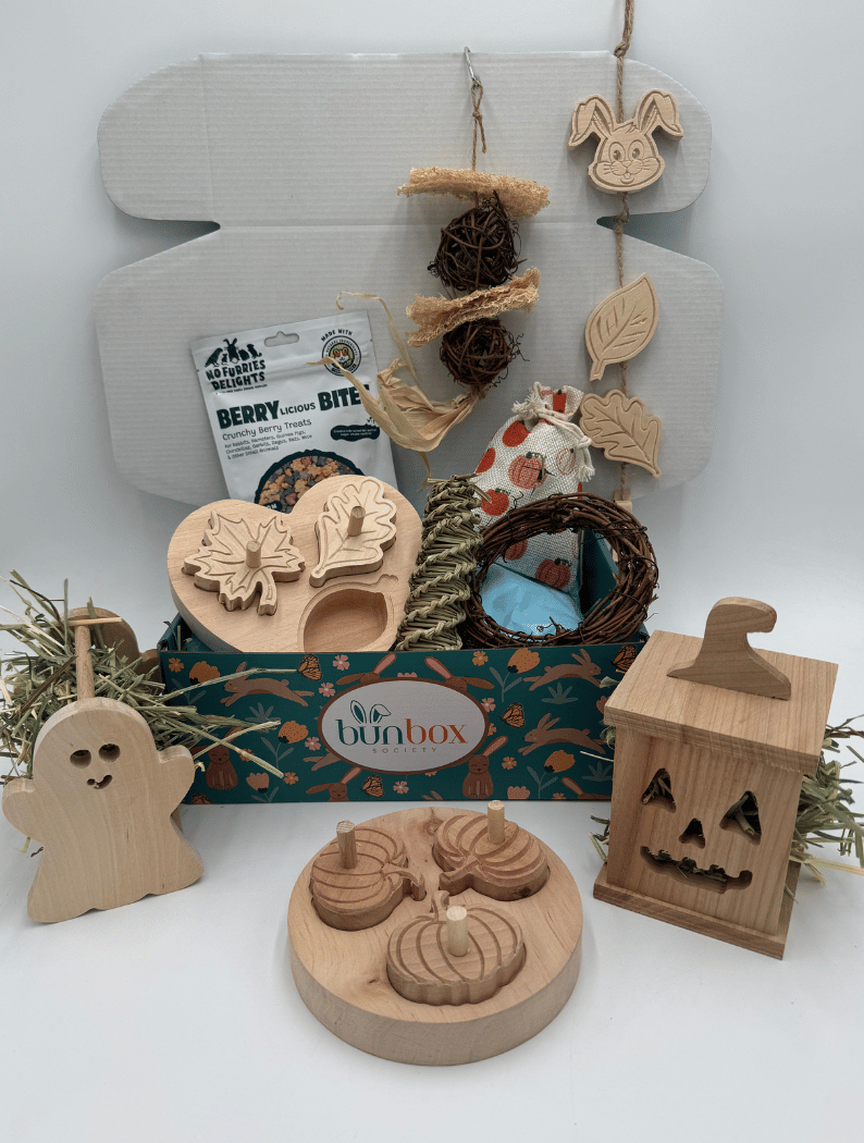 0367941050924-bunny-subscription-box-18-17567857658803.png