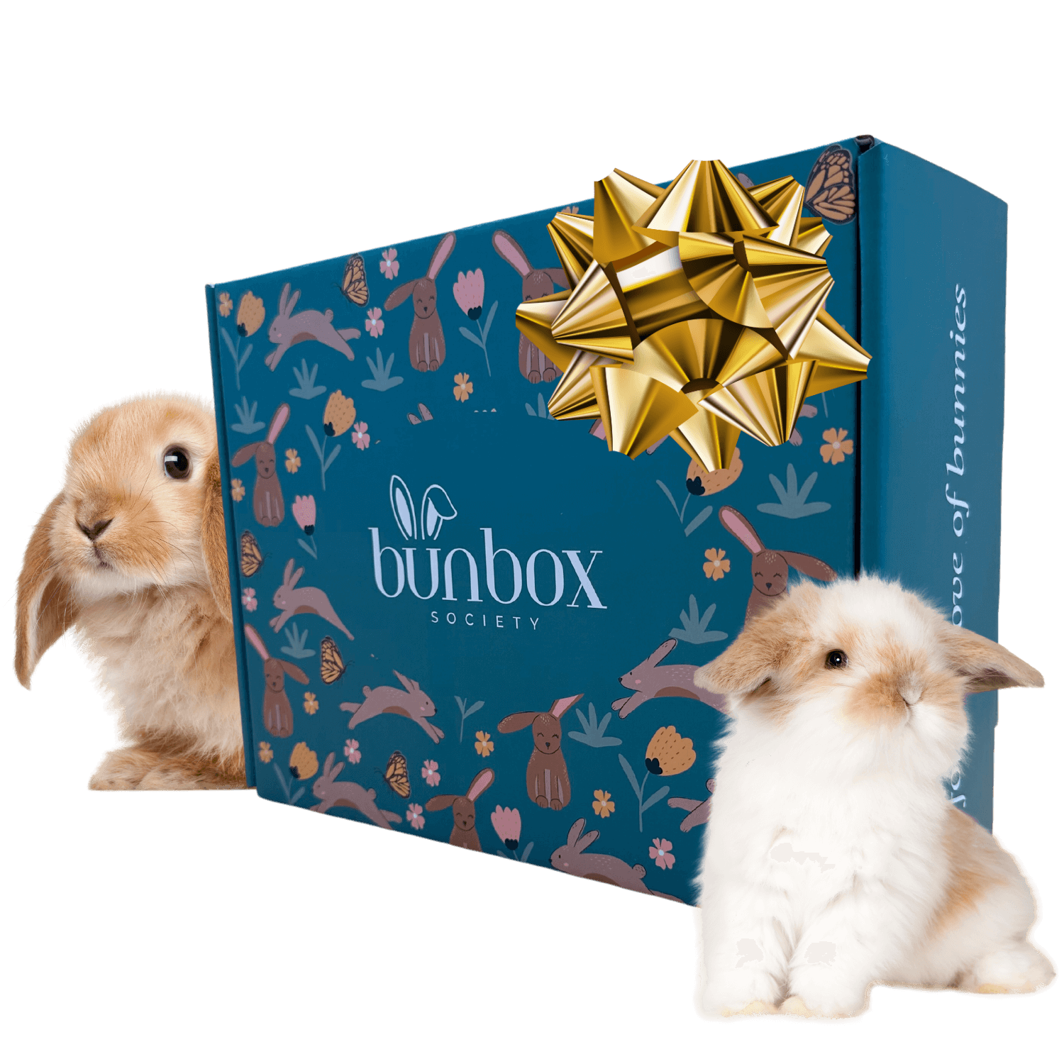 Bun Box Society gift box with adorable bunnies